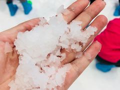 -Mr·Kuma酷么先生雪之乐园