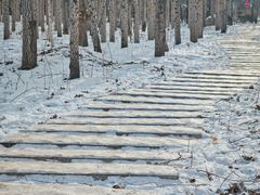 -哈尔滨师范大学(松北校区)