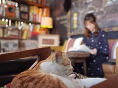 -城墙外BAR