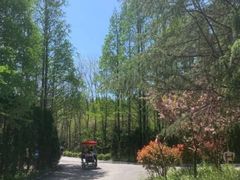 -渡海小渔村.老辈日照菜