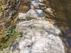 -青林口古镇
