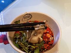 -千岛蚝高压锅生蚝·人参火锅(白云万达店)