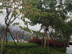 -美的鹭湖森林度假区