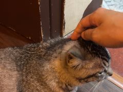 -猫岛主趣味餐厅(鼓浪屿店)