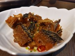 -土著渔匠·养生蝴蝶鱼(香樟路店)