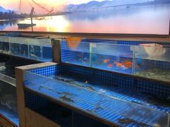 -7017浙菜•建德味(中财店)