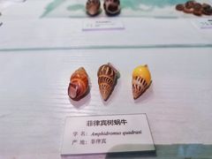 -大连自然博物馆