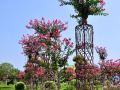 -武汉紫薇都市田园