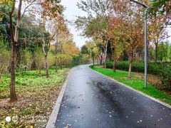 -昆山城市生态森林公园