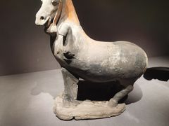 -大同市博物馆