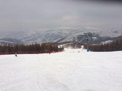 -多乐美地滑雪场