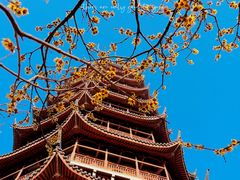 -北寺塔