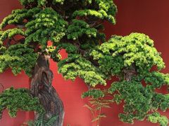 -阿伟海鲜楼·福建菜(延寿店)