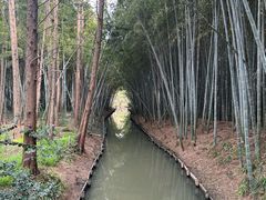 -同里国家湿地公园