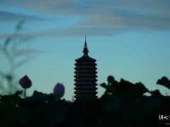 -西海子公园