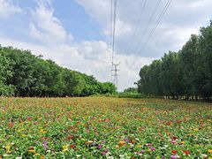 -长白岛森林公园