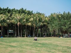 -深圳湾公园(南山区)
