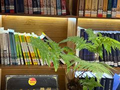 -宣科纳西古乐·非遗音乐(大水车店)