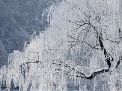 -秦岭终南山世界地质公园翠华山景区
