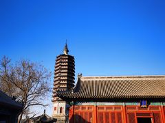 -西海子公园