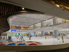 -TheRink大零溜冰场(IFS国金中心店)
