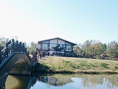-南湖湿地公园