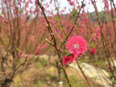 -白水带风景区体育公园