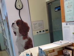 -瑞派申生动物医院·24H夜诊·国际动物医疗中心·骨外科(吴中路店)