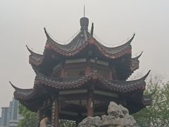 -沙湖公园