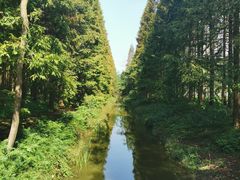 -黄海国家森林公园