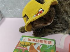 -瑞虹新天地月亮湾