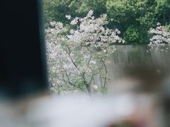 -当米亚诺意大利餐厅(武汉光谷凯悦酒店)