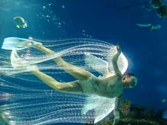-海合安武汉极地海洋公园