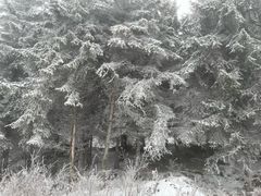 -太子岭滑雪场