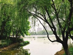 -杭州城北体育公园