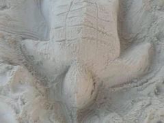 -中国死海旅游度假区