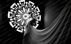 -iplus爱家高端孕妇摄影