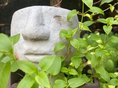 -箱美术馆私房菜(水晶郦城店)