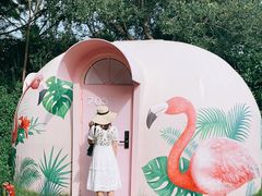 -漳州滨海火山岛自然生态风景区