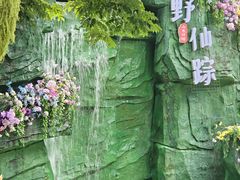 -观澜山水田园