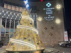-南宁那莲豪华精选酒店-云霄酒廊·80楼高空城景酒吧