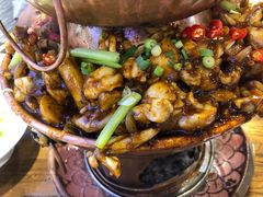 -老佛爷蛙锅•鲜蛙煲(麦凯乐店)