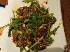 香菜拌牛肉-湘聚缘湘菜馆(斜土路店)