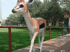 -北京野生动物园