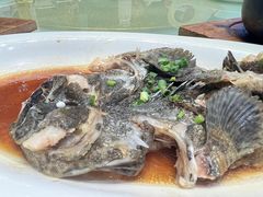 广式石斑-奉城家宴(印象奉化店)