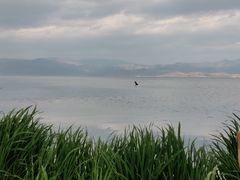 -大理洱海