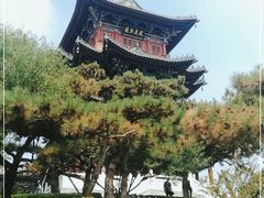 -迎泽公园