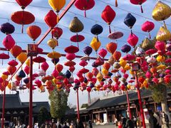 -祥源·阜阳生态乐园