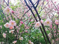 -洛阳市隋唐城遗址植物园