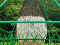 -东莞植物园